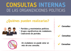 Consultas internas de organizaciones políticas