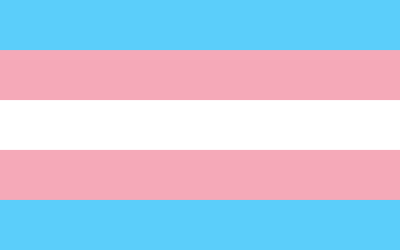 “Protocolo para promover medidas que garanticen el derecho al voto de las personas trans (transgénero, transexuales y travestis) en igualdad de condiciones y libre de discriminación”