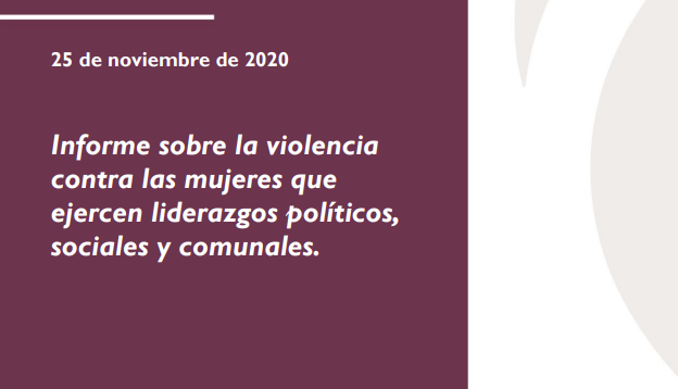 Informe sobre la violencia contra las mujeres que ejercen liderazgos políticos, sociales y comunales.