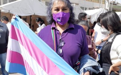 Observatorio Latinoamericano y del Caribe de los Derechos Políticos y Electorales de las Personas Trans, un paso para una democracia más incluyente