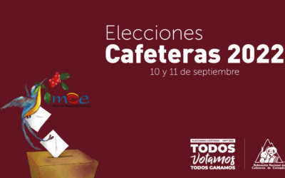 Elecciones Cafeteras 2022: MOE desplegará 406 observadores y observadoras