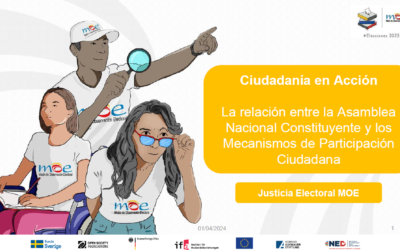 Ciudadanía en Acción – La relación entre la Asamblea Nacional Constituyente y los Mecanismos de Participación CiudadanaCiudadanía en Acción